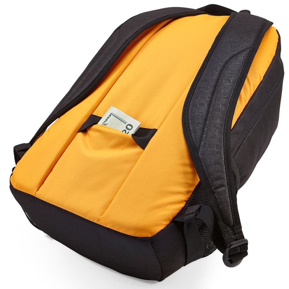 Case Logic Ibira 15.6" laptop backpack